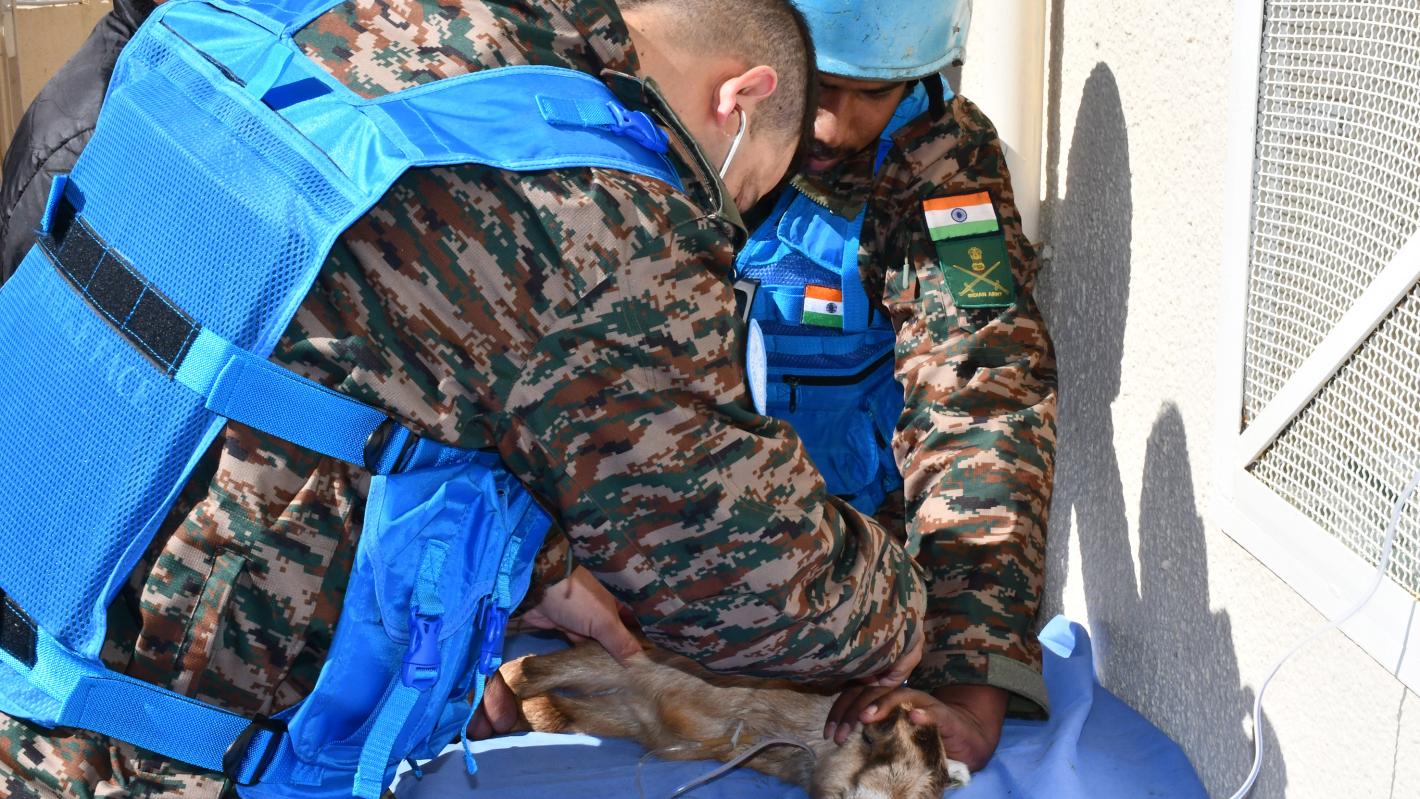 A peacekeeper attending to the medical needs of an animal