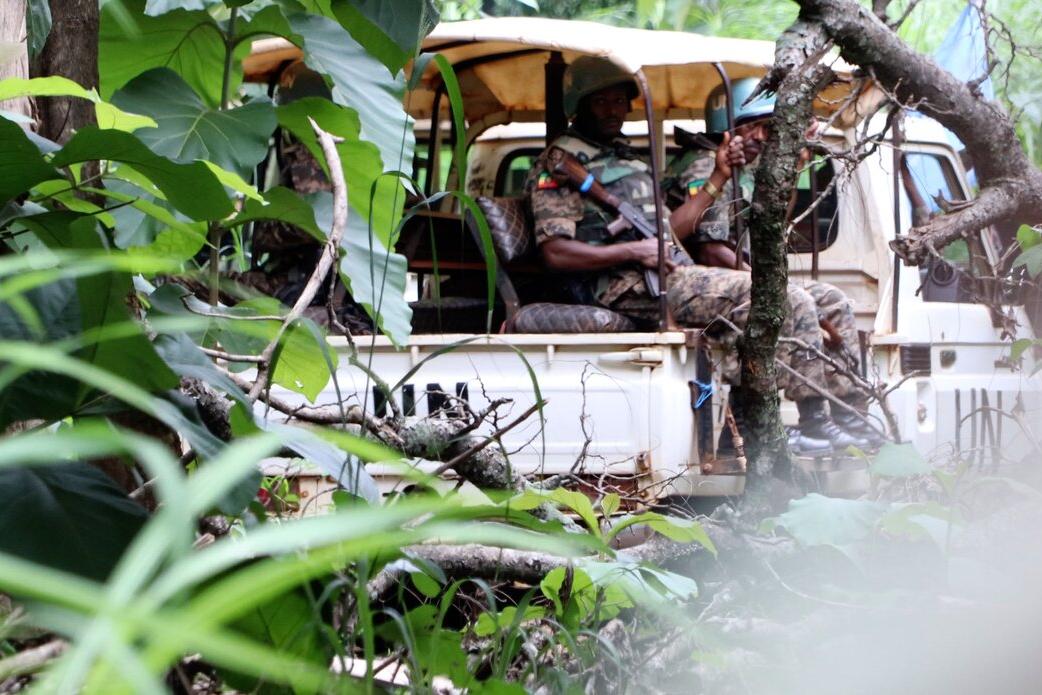 Military personnel in camouflage uniforms seated in the back of an open white truck, partially obscured by dense green foliage.