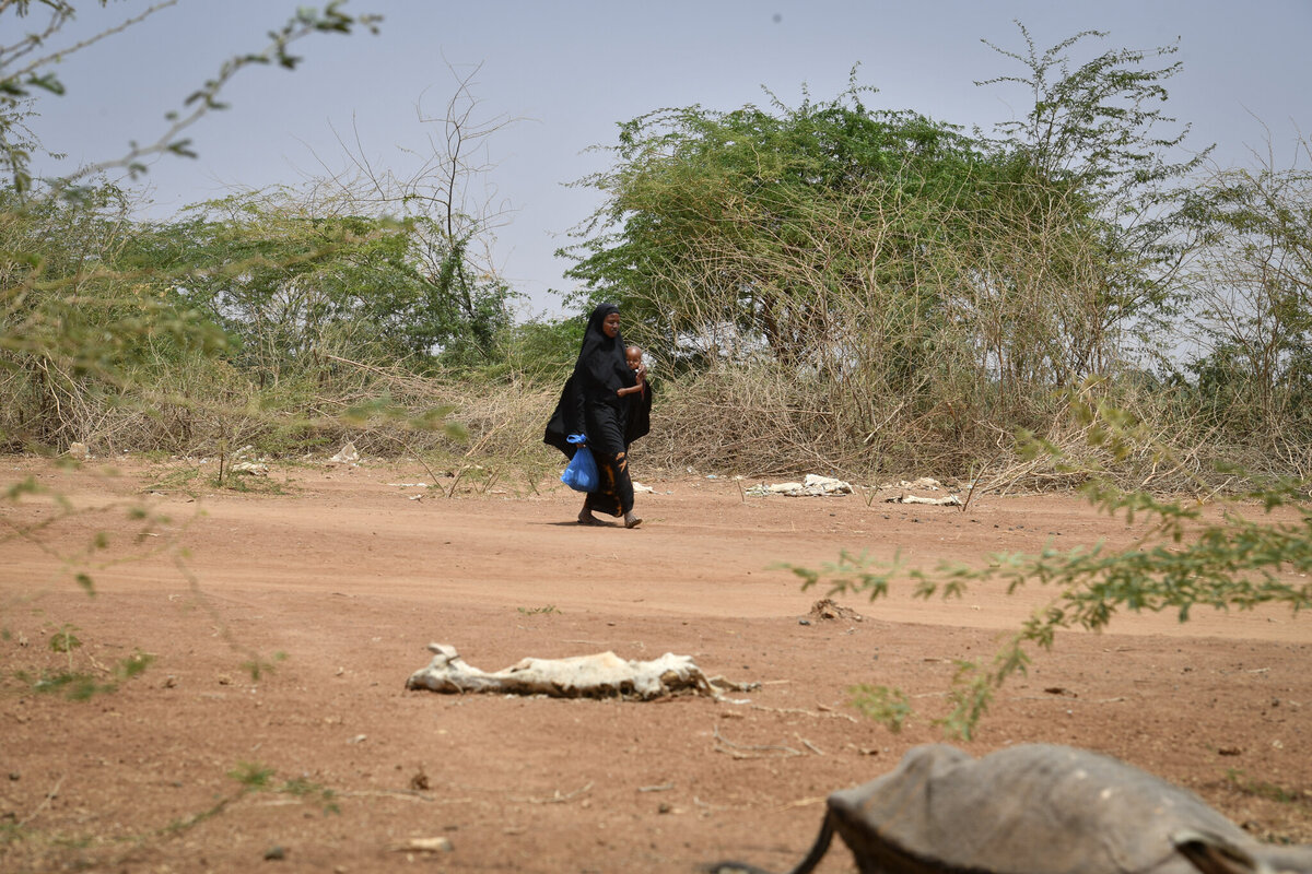 UN: As Impact Of Drought Worsens, Growing Risk Of Famine In Somalia ...