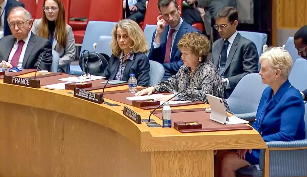 At Security Council Meeting, UN Special Representative Calls For More ...