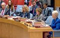 At Security Council meeting, UN Special Representative calls for more support for Somalia