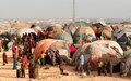 Somalia’s COVID-19 response: Internally displaced people especially at risk