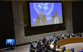UN envoy briefing to the Security Council