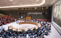 Security Council press statement on Somalia