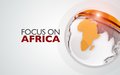 BBC Focus On Africa; Michael Keating UN Special Representative to Somalia - Interview