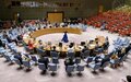 UN Security Council: Press statement on the situation in Somalia