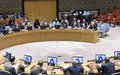 Security Council press statement on elections in Somalia