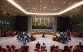 UN Security Council’s press statement on recent terrorist attacks in Somalia