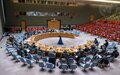 Security Council Press Statement on the Situation in Somalia
