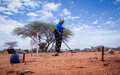 On safer ground: Supporting efforts to make Somalia free of explosive remnants of war