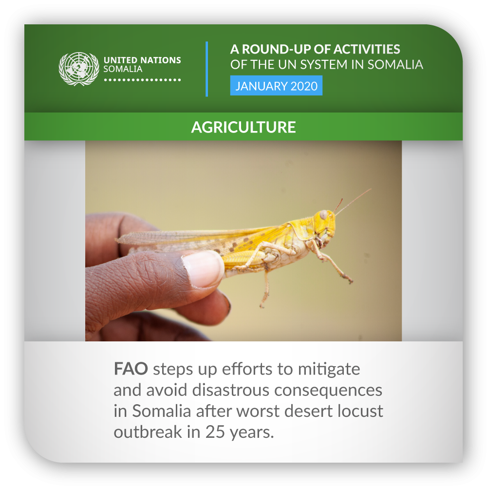 ROUNDUP FAO JAN 2020