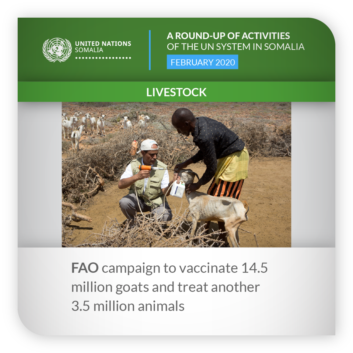 ROUNDUP FAO FEB 2020