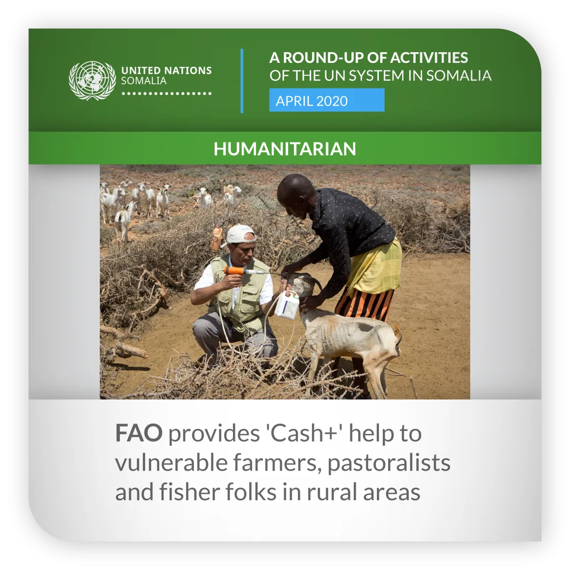 ROUNDUP FAO APRIL 2020